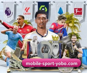 yobo体育 APP